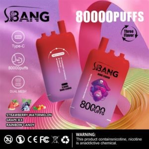 strawberry watermelon - grape ice - rainbow candy bang leader 80000