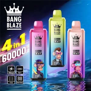 bang blaze 60000 4 in 1 watermelon ice - blueberry cherry - summer time - sour mango pineapple