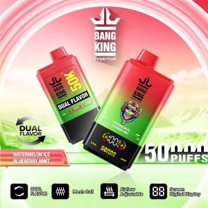 watermelon ice - blueberry mint bang king 50000 dual flavour