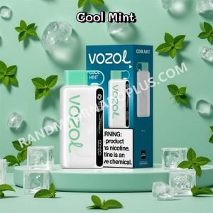 Cool Mint Vozol Star 12000 Rtdeffvs12000