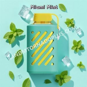 Miami Mint Vozol Gear 10000 Puffs Rtpdeffvg10000
