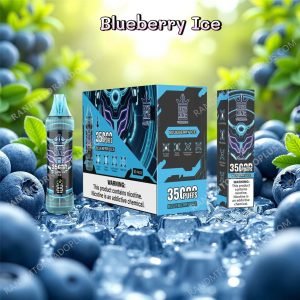 Blueberry Ice Bang King 35000 Rtdeffbk35000