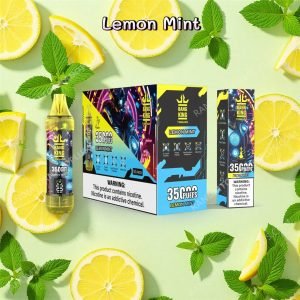 Lemon Mint Bang King 35000 Rtdeffbk35000