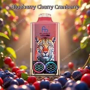 randm tornado 40000 puffs​ blueberry cherry cranberry