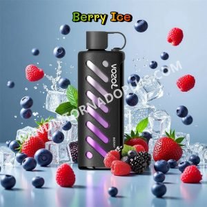 Berry Ice Vozol Gear Shisha 25000 Rtpdeffvgs25000