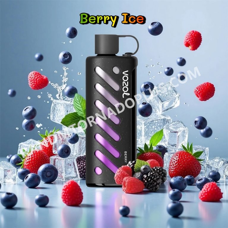 Berry Ice Vozol Gear Shisha 25000 Rtpdeffvgs25000