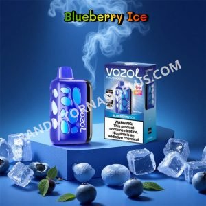 Blueberry Ice Vozol Rave 40000 Rtpdeffvr40000