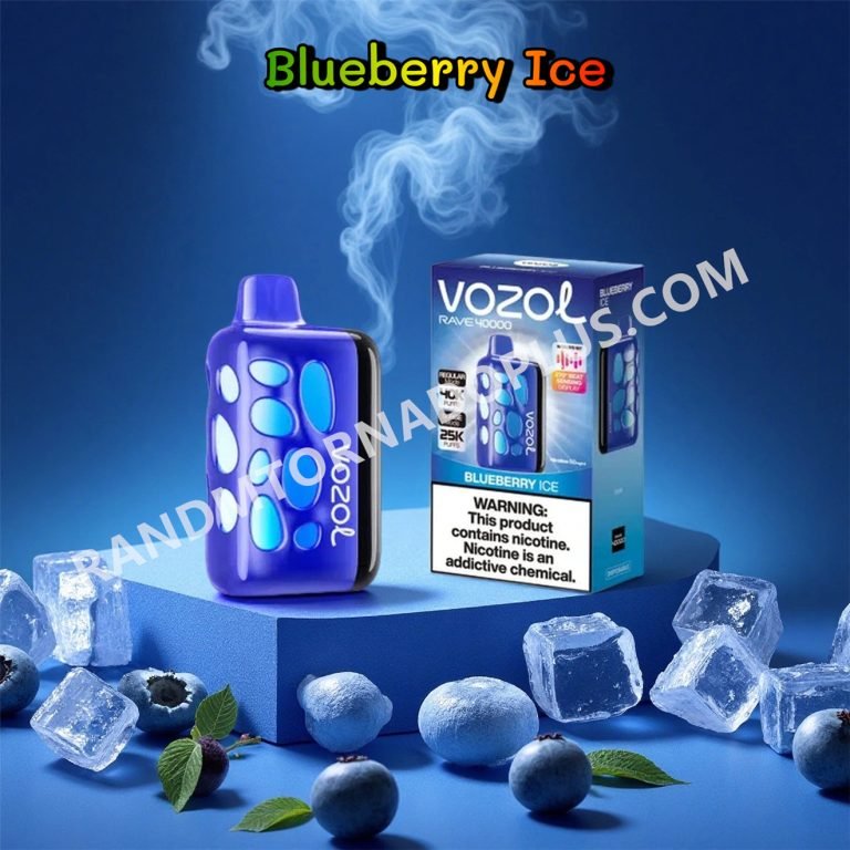 Blueberry Ice Vozol Rave 40000 Rtpdeffvr40000