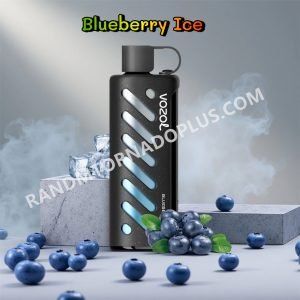Blueberry Ice Vozol Gear Shisha 25000 Rtpdeffvgs25000