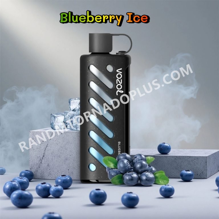Blueberry Ice Vozol Gear Shisha 25000 Rtpdeffvgs25000