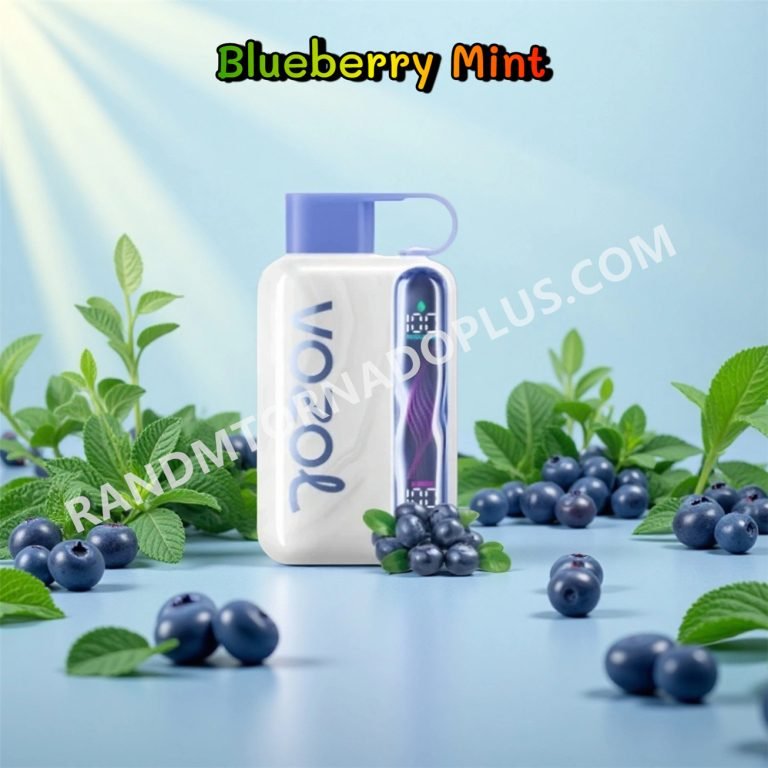 Blueberry Mint Vozol Star 40000 Rtpdeffvs40000