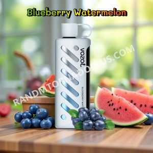 Blueberry Watermelon Vozol Gear Shisha 25000 Rtpdeffvgs25000
