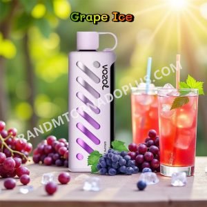 Grape Ice Vozol Gear Shisha 25000 Rtpdeffvgs25000