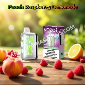Peach Raspberry Lemonade Vozol Rave 40000 Rtpdeffvr40000